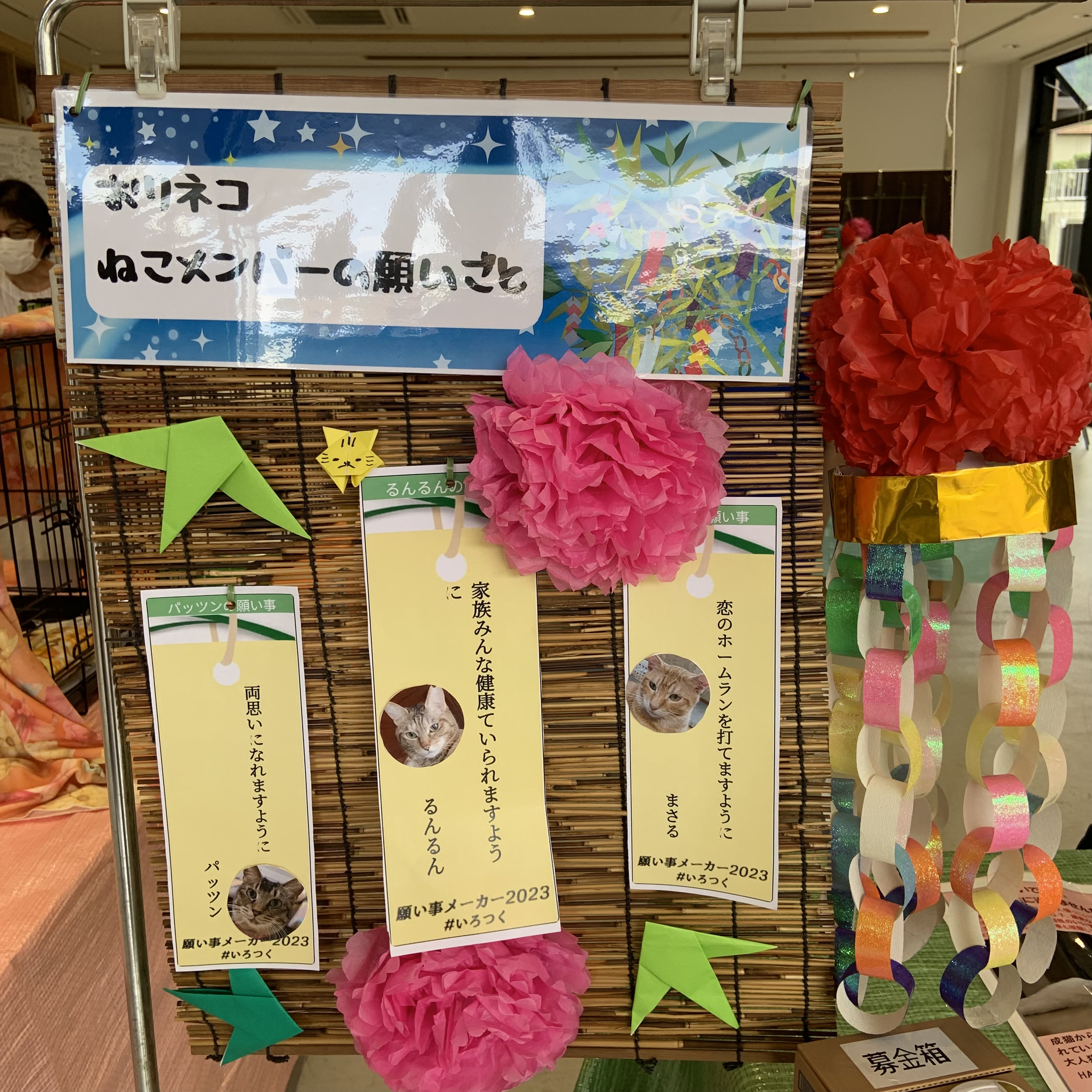 orineko230806_3.jpg