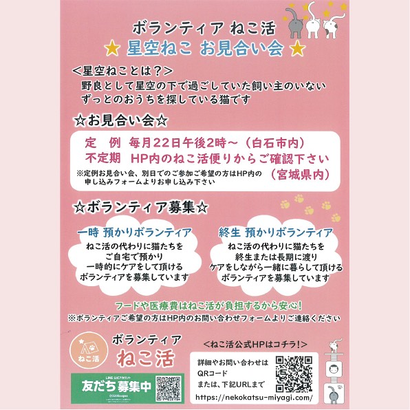 nekokatsu230918_3.jpeg