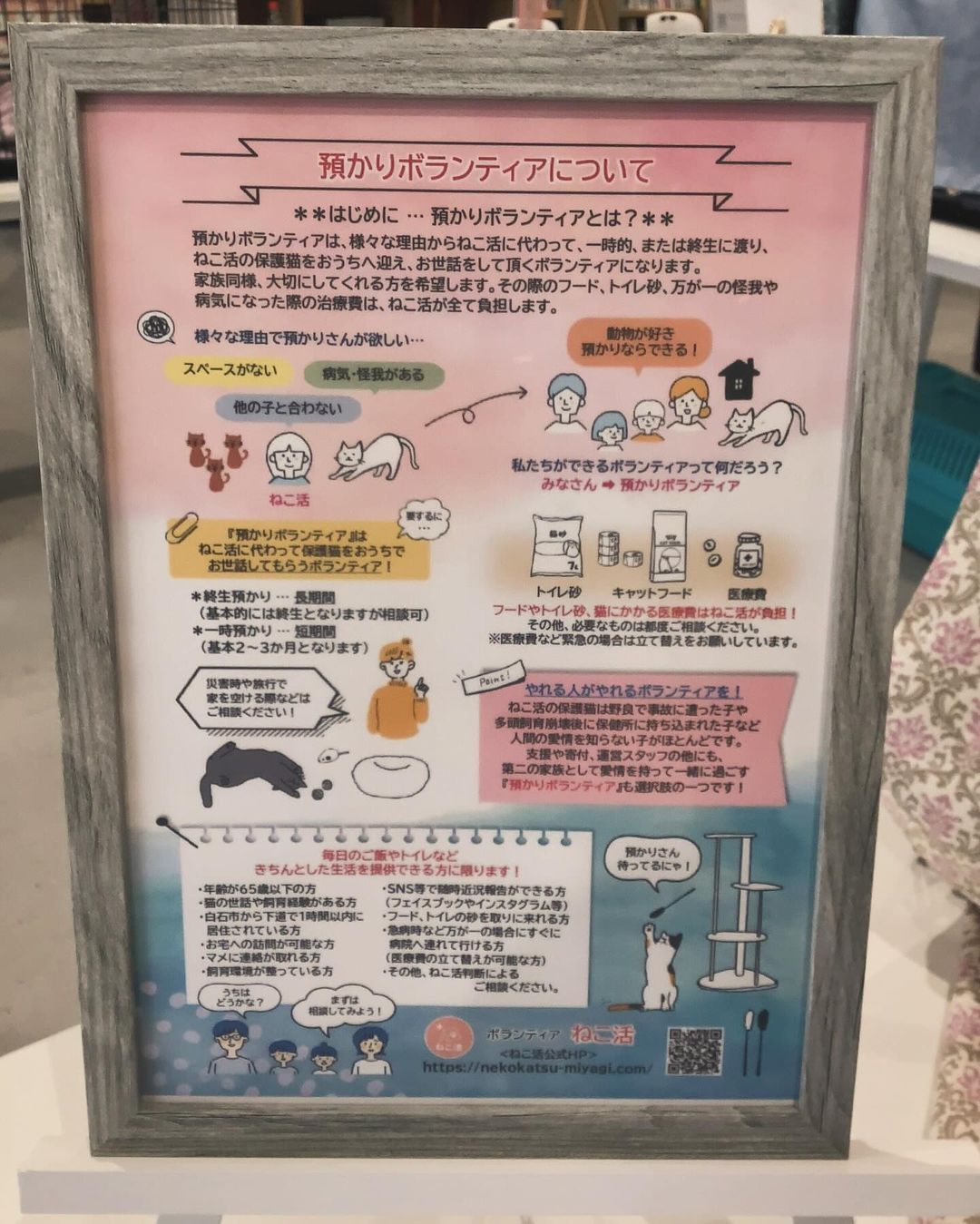 nekokatsu231216.jpeg