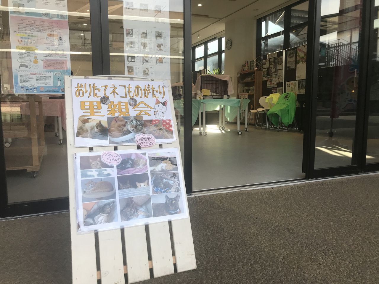 orineko240113_4.jpeg