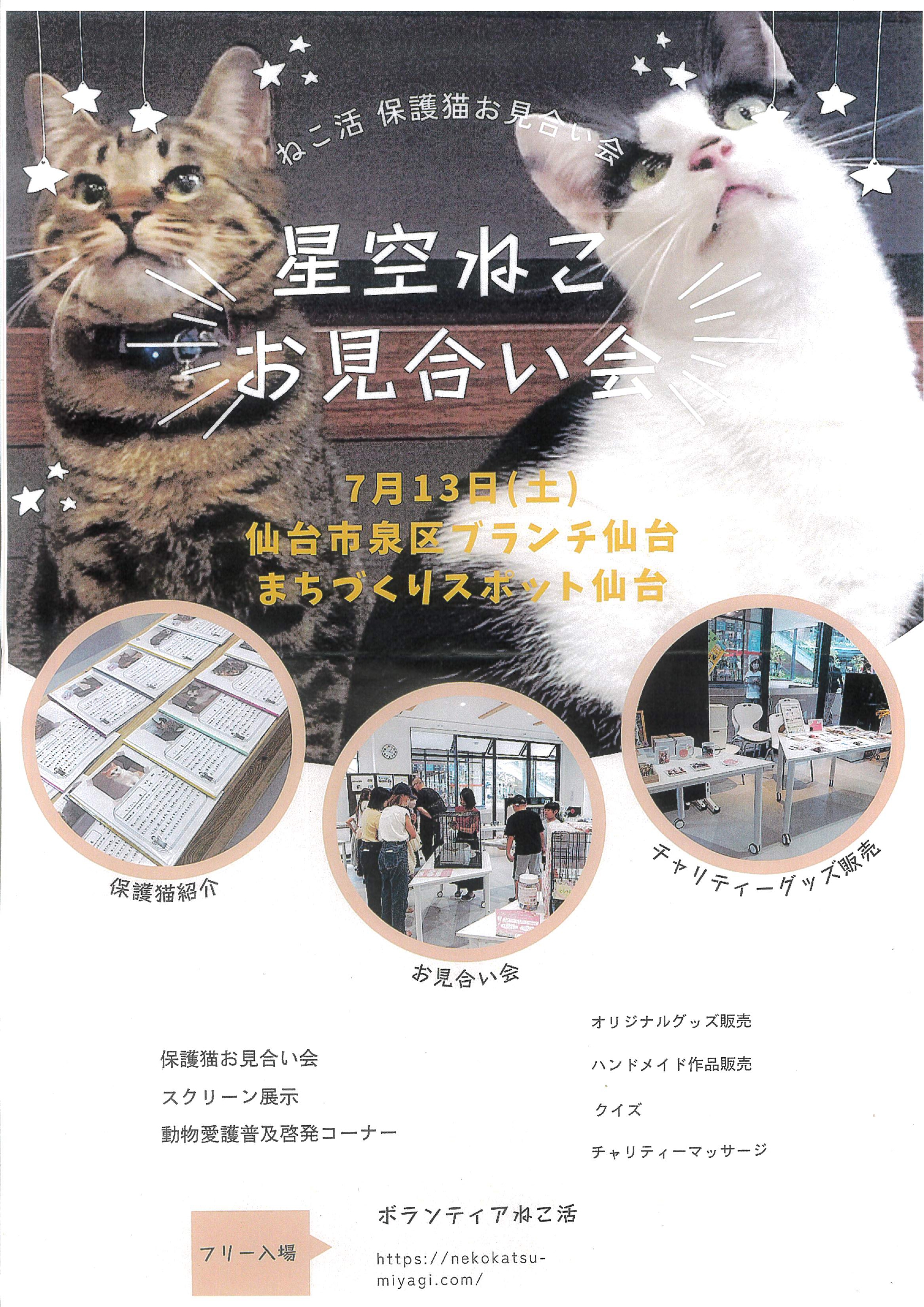 nekokatsu07.jpg