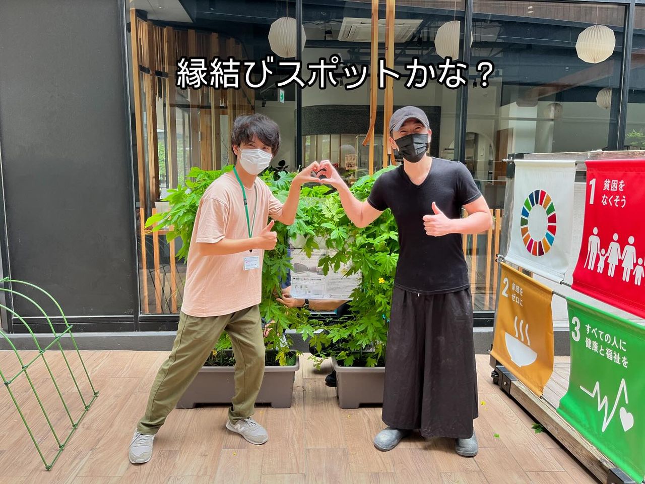 greencurtain_2.jpg