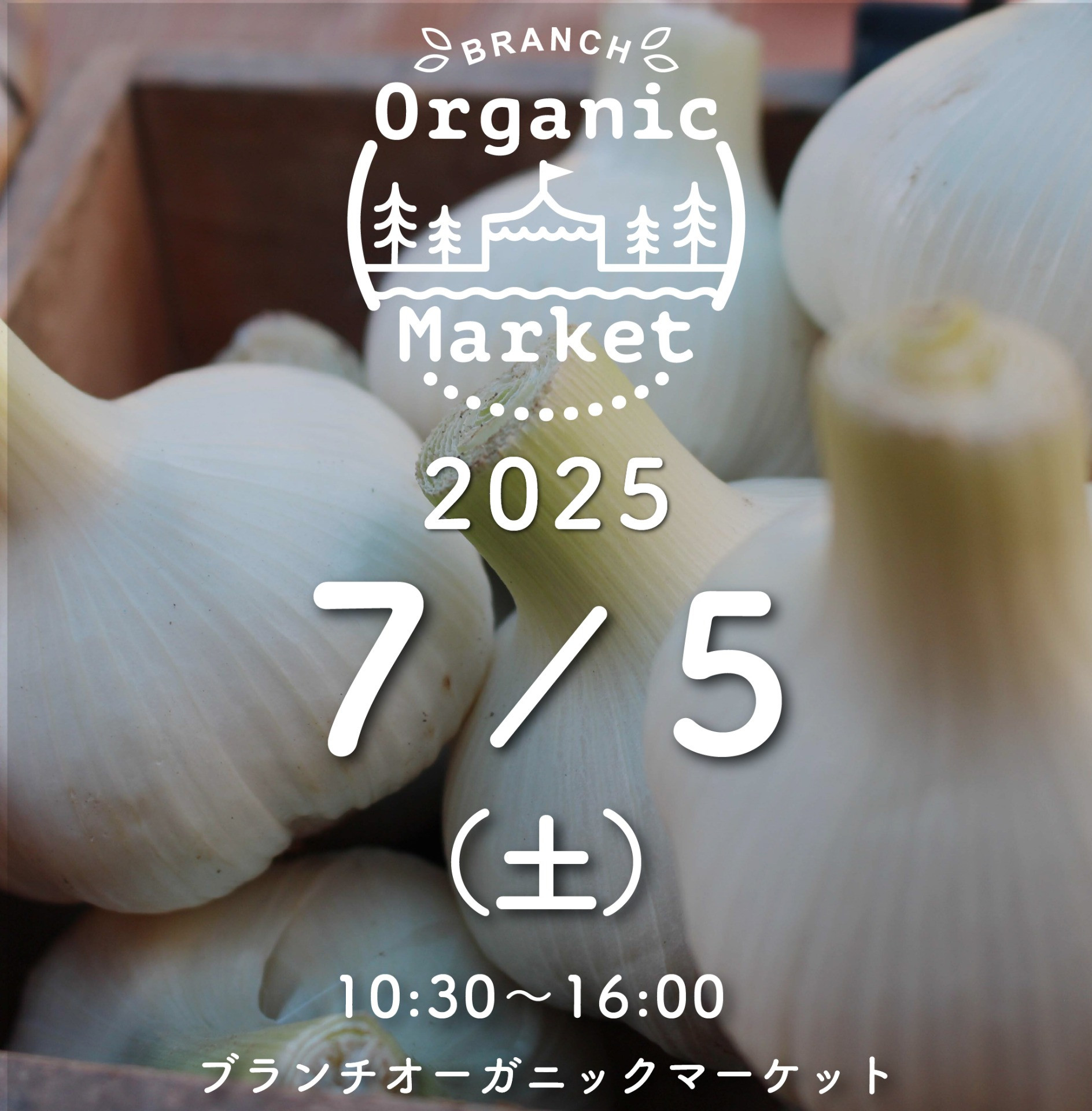 00d56a1df51da84d0da5a958f3efdf65-1750227145.jpg