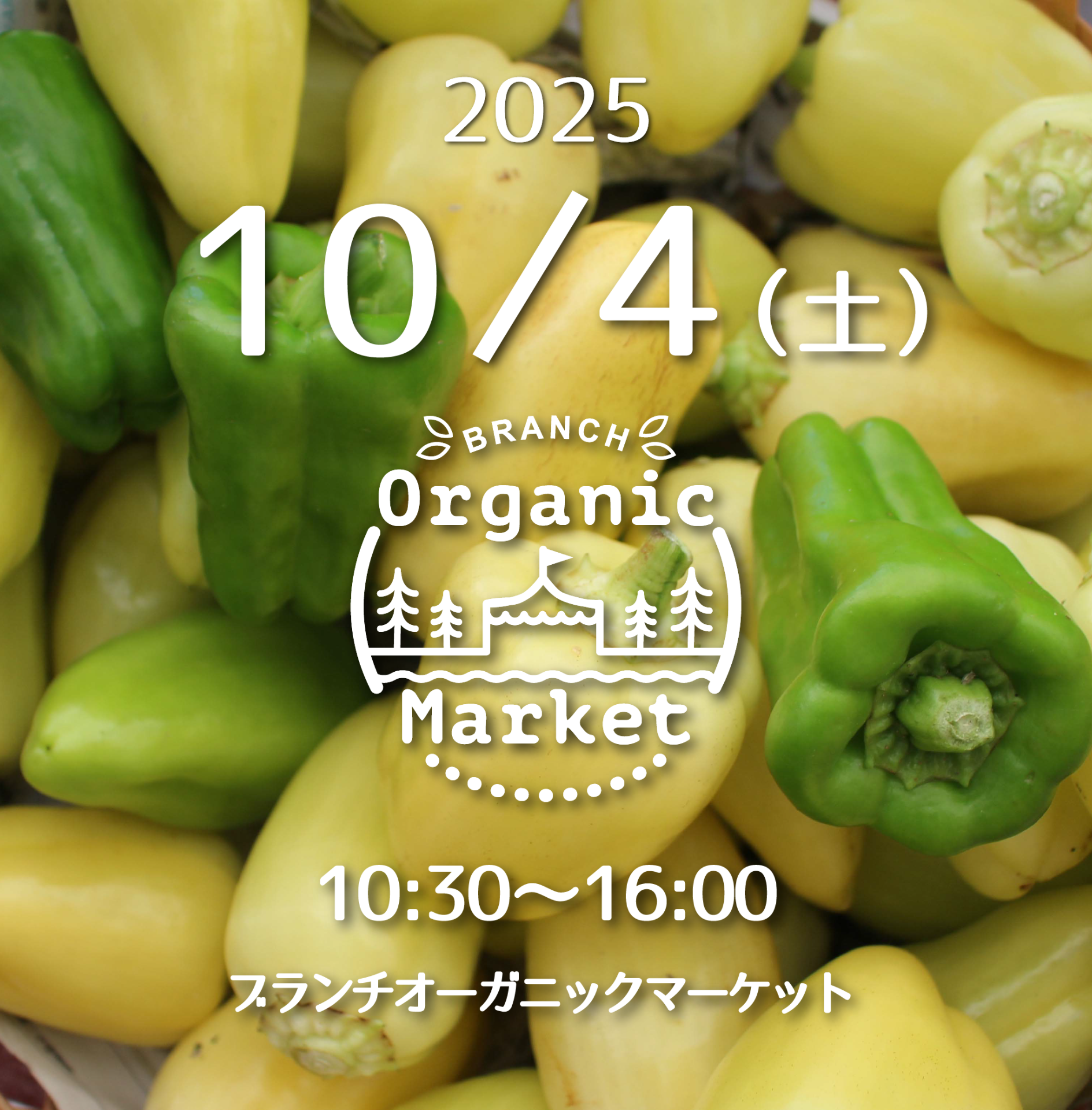 d8e0d699087af3e1fc3a2d843661d089-1758344397.png