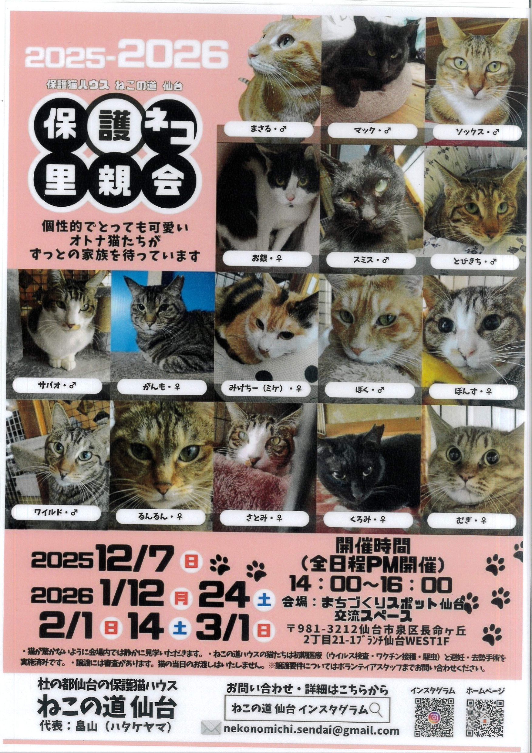 nekomichi_2601.jpg nekomichi_2601.jpg