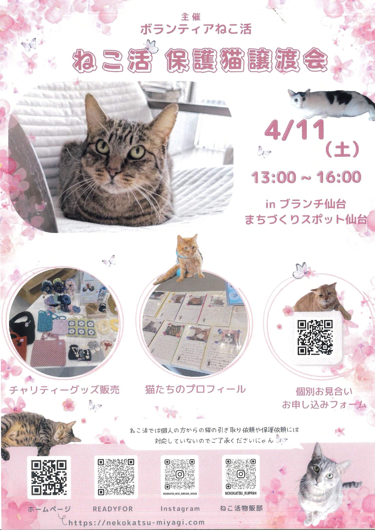 nekokatu_0411.jpg nekokatu_0411.jpg