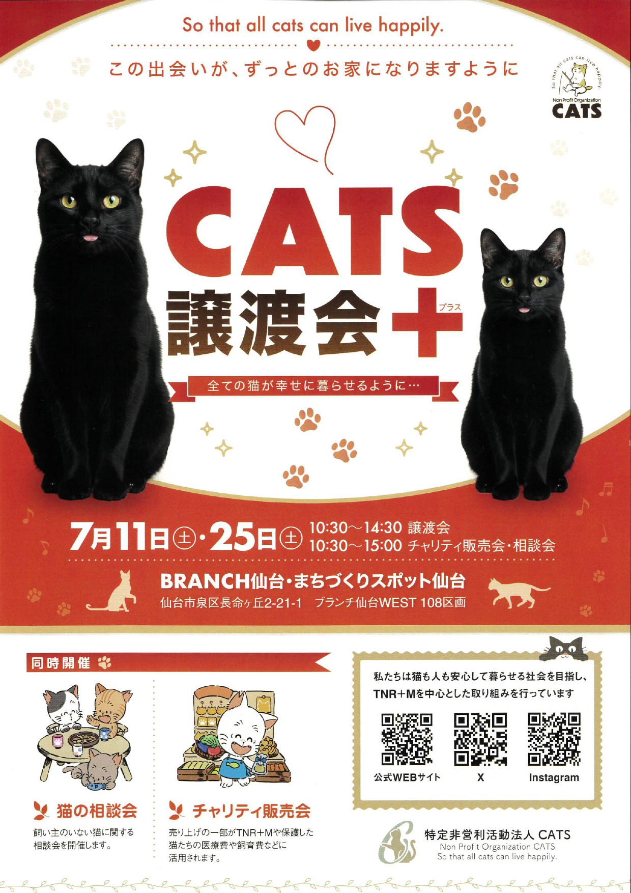 cats_2607.jpg cats_2607.jpg