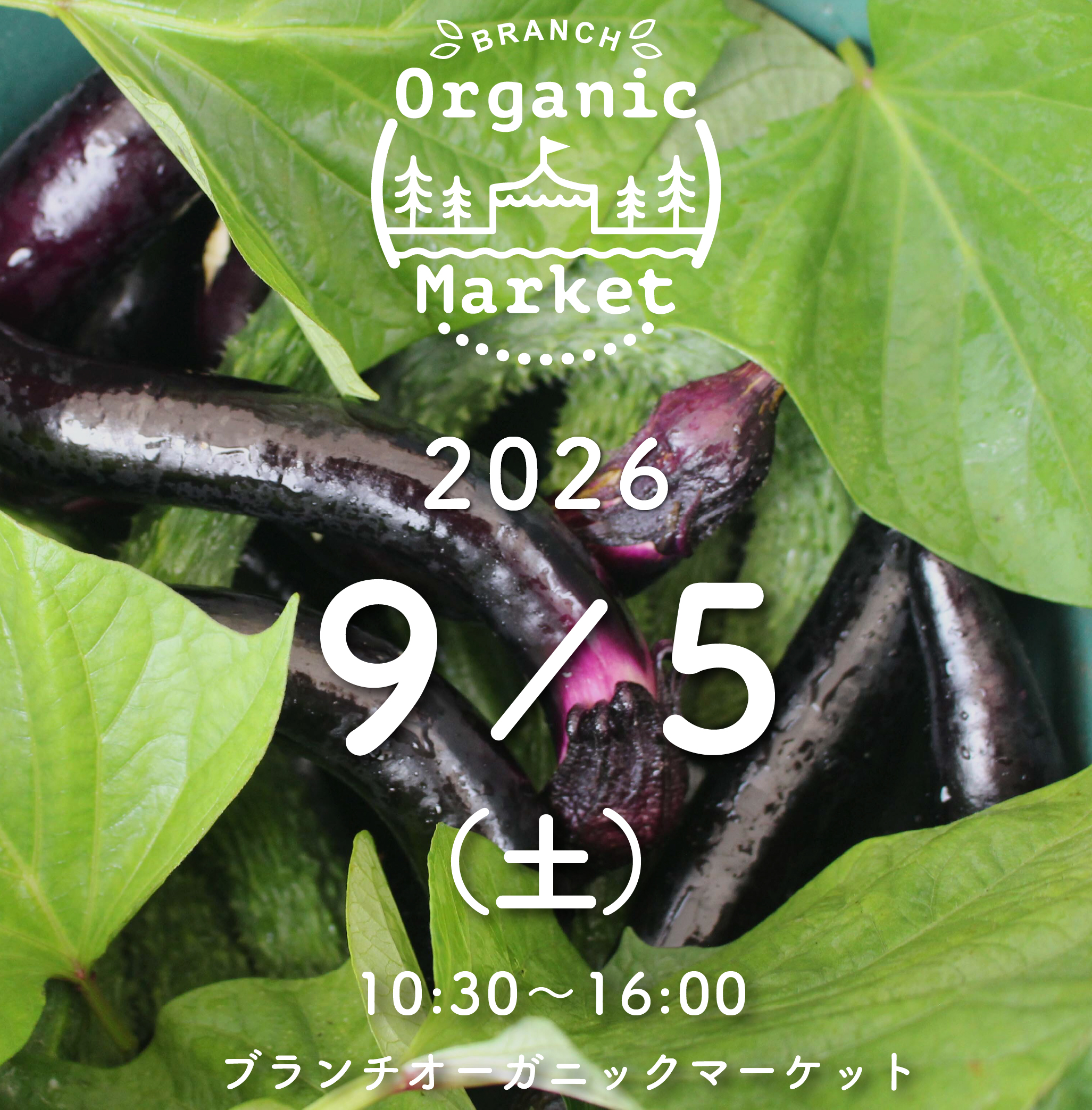 bomlogo_260901.jpg bomlogo_260901.jpg