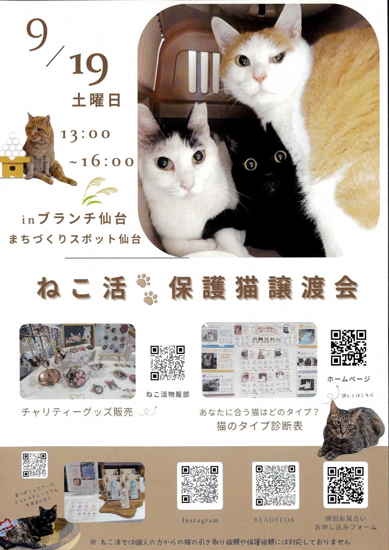 nekokatsu_2609.jpg