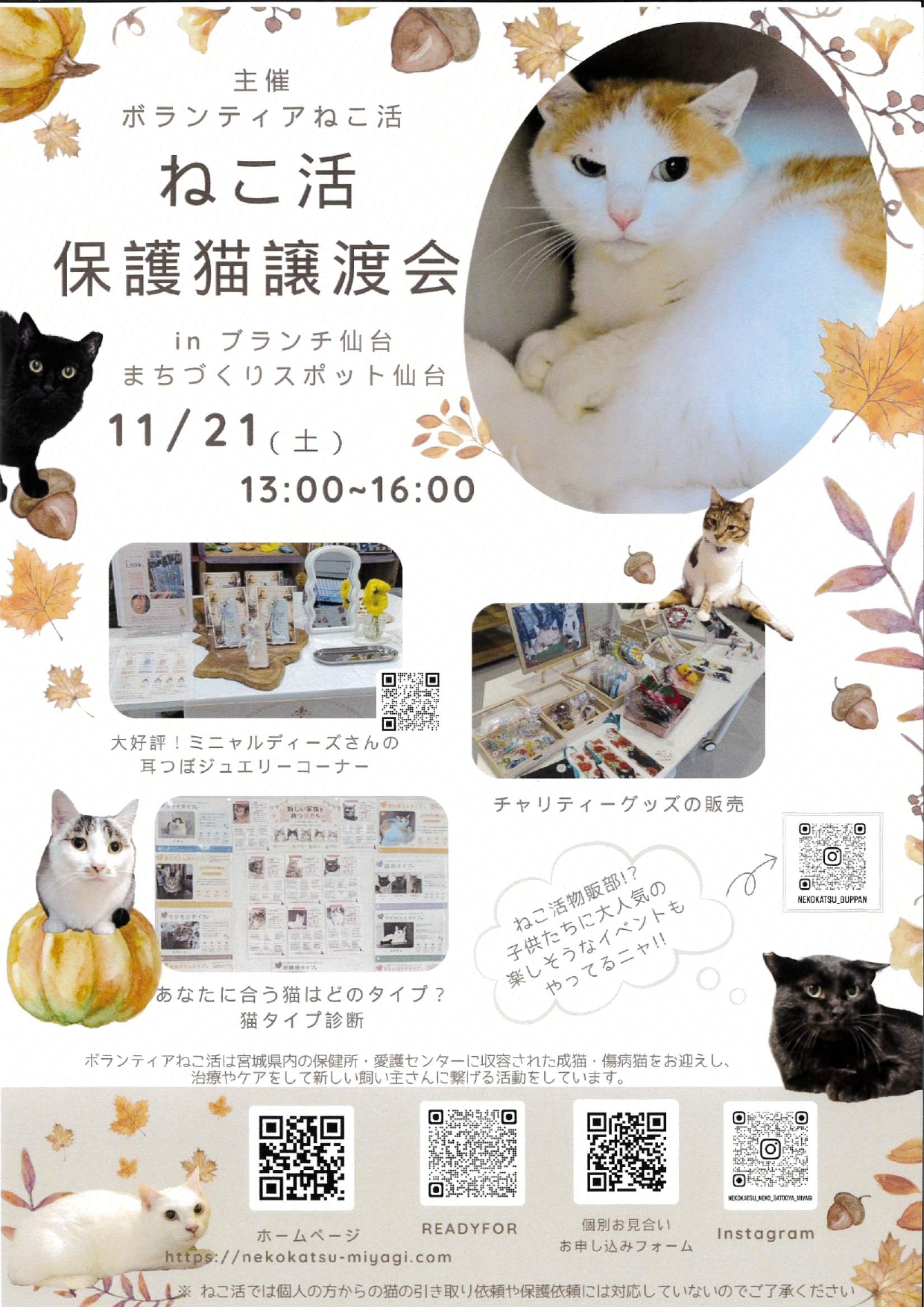 nekokatsu_2611.jpg nekokatsu_2611.jpg