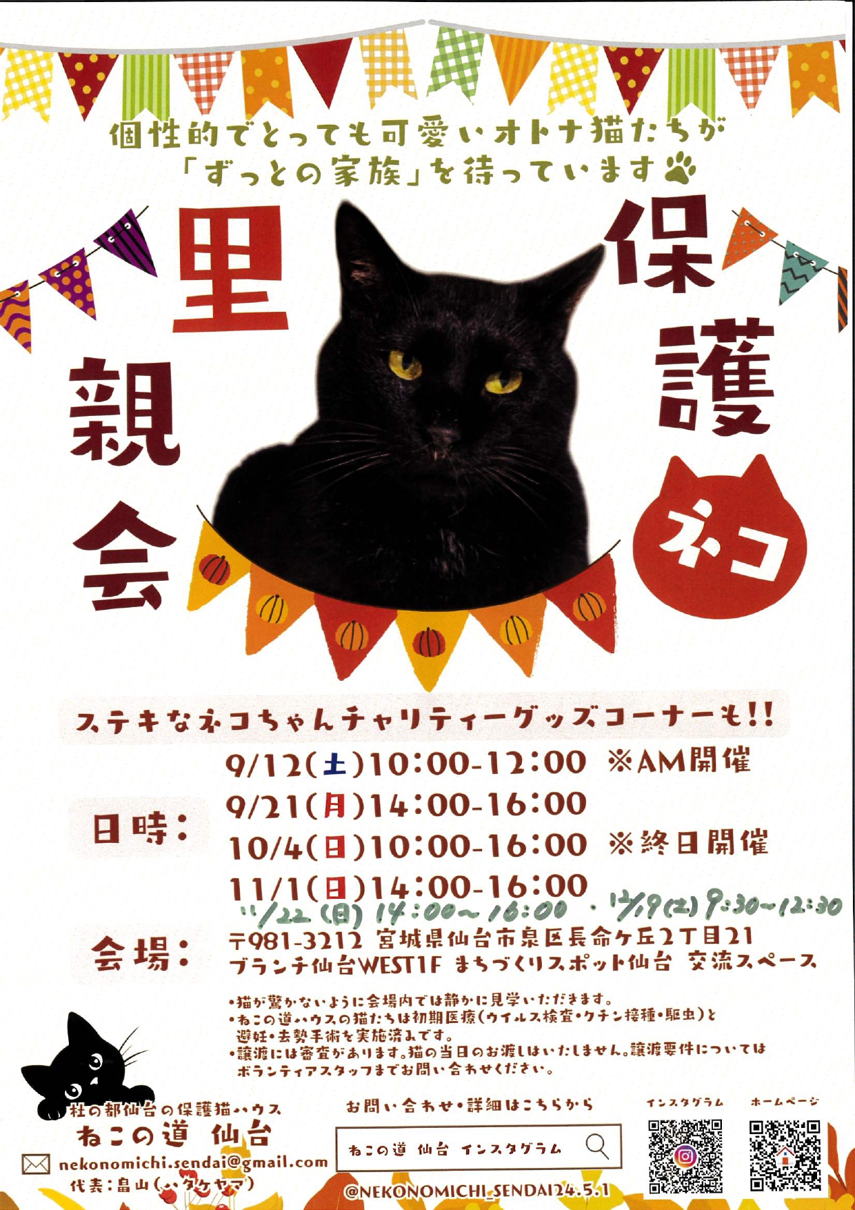 nekomichi_2611.jpg nekomichi_2611.jpg