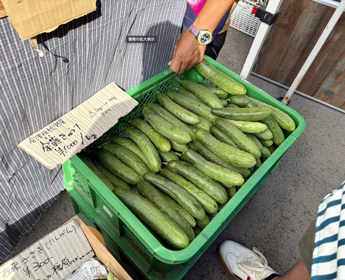 riorikosann1.jpg