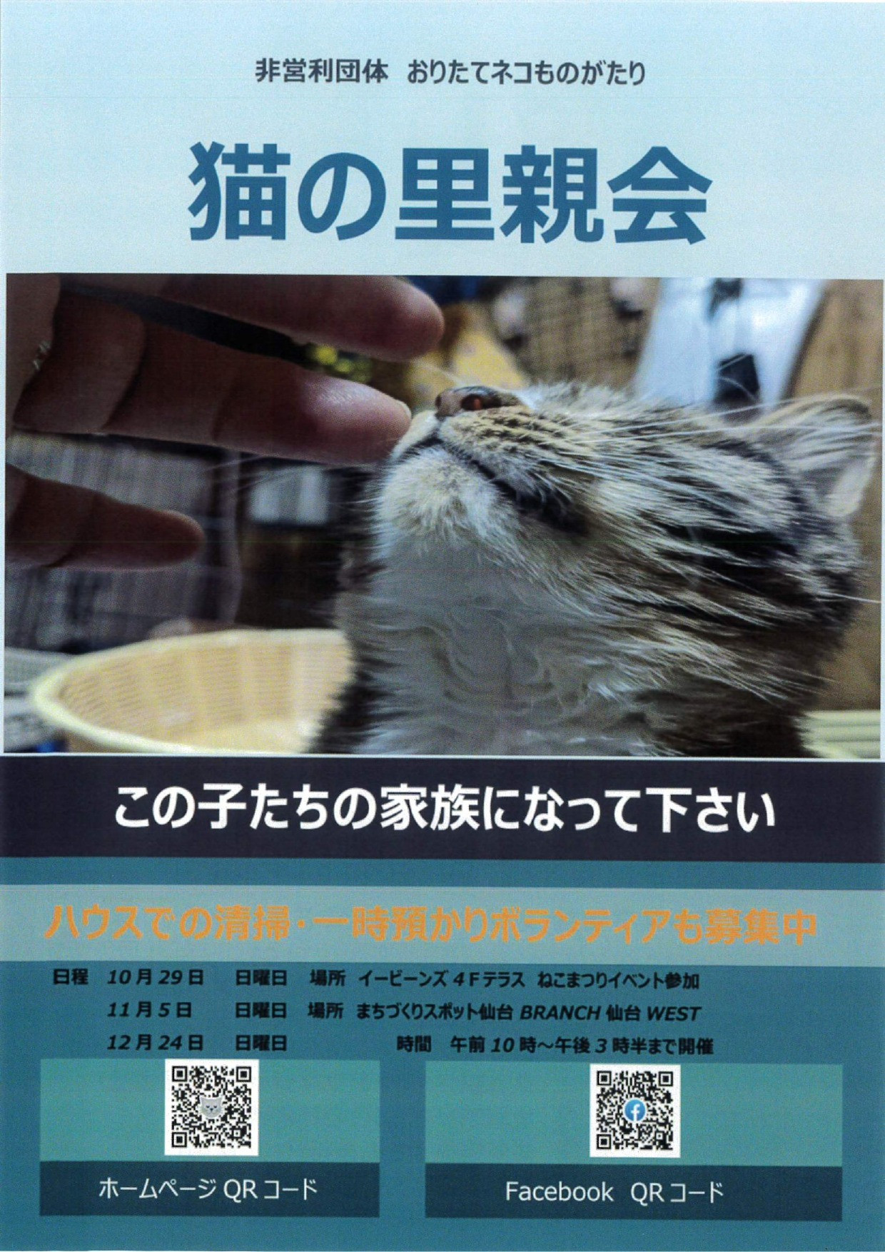 【交流スペースの情報】猫の里親会12月