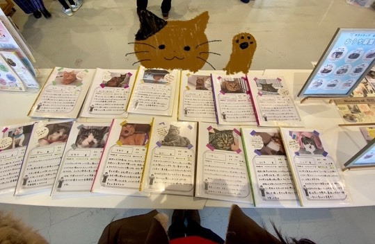 「星空ねこお見合い会」が開催されました。