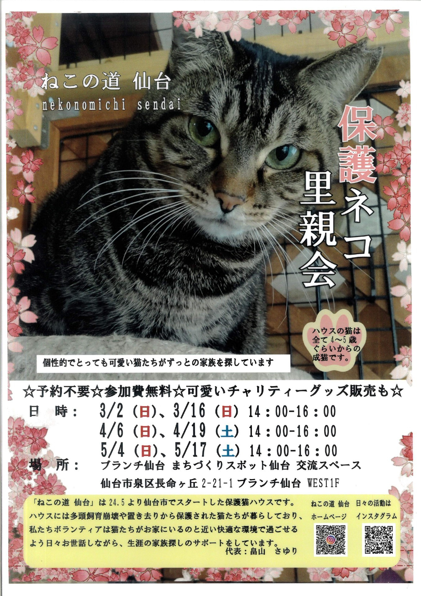 ねこの道仙台　保護ネコ里親会4月