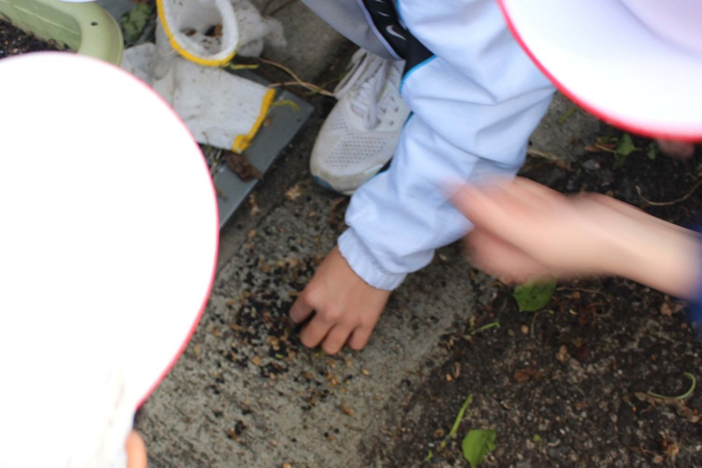 長命ケ丘小学校5年生がグリーンカーテンのつるの撤去に来てくれました！