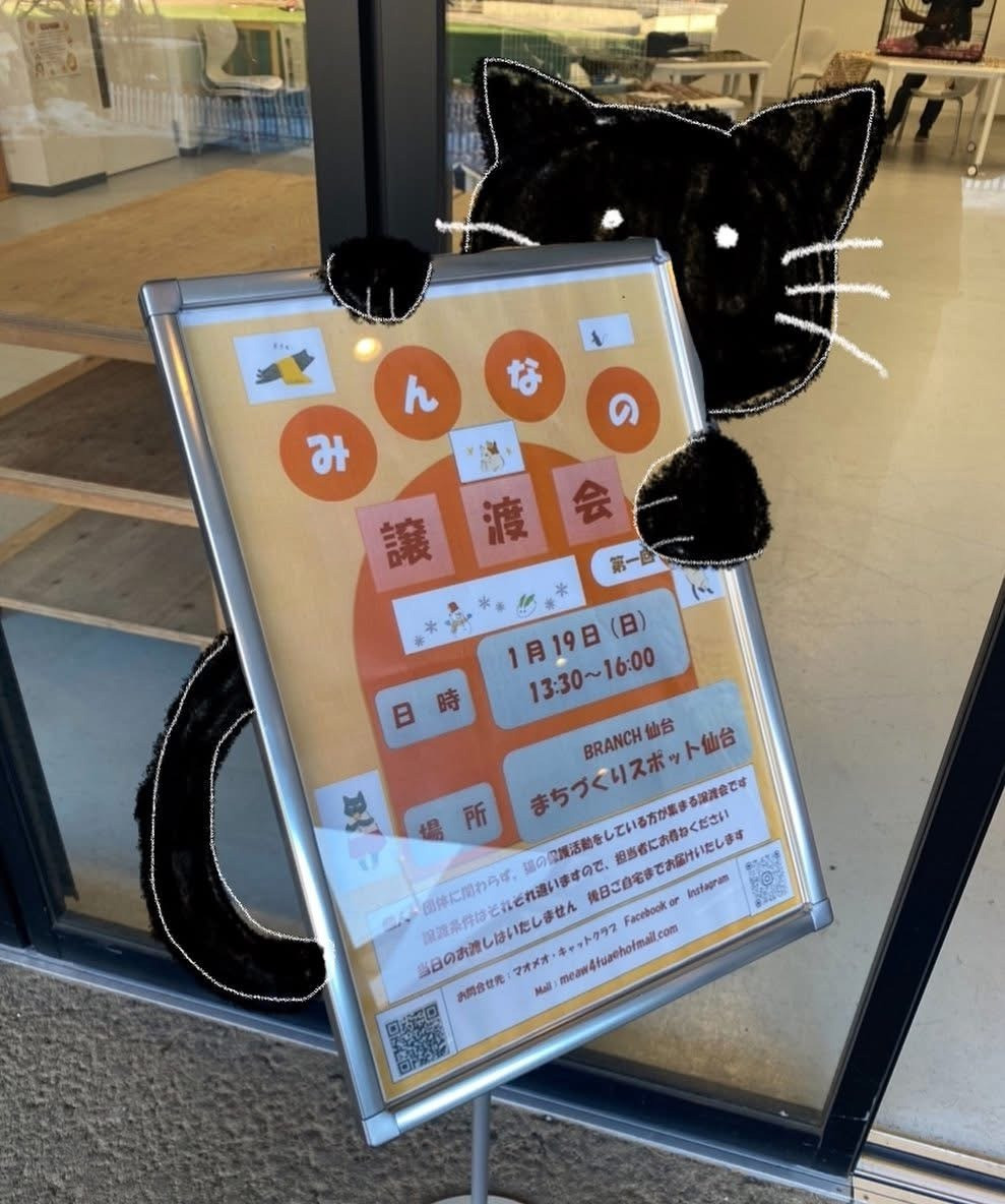 「みんなの譲渡会」が開催されました！