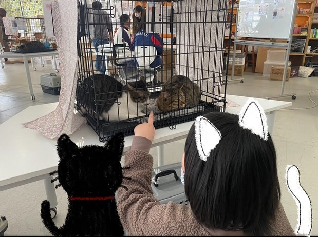 「星空ねこ お見合い会」が開催されました！