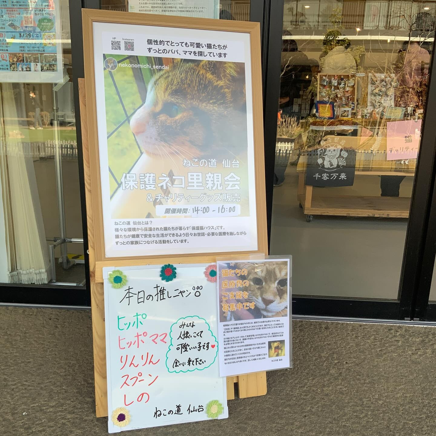 「ねこの道 仙台」さんによる「保護ネコ里親会」が開催されました！