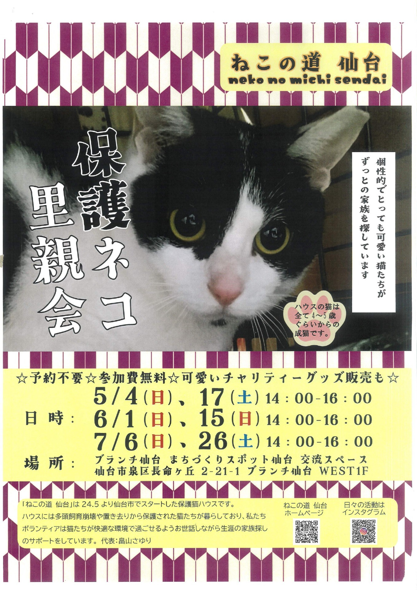 ねこの道仙台　保護ネコ里親会6月