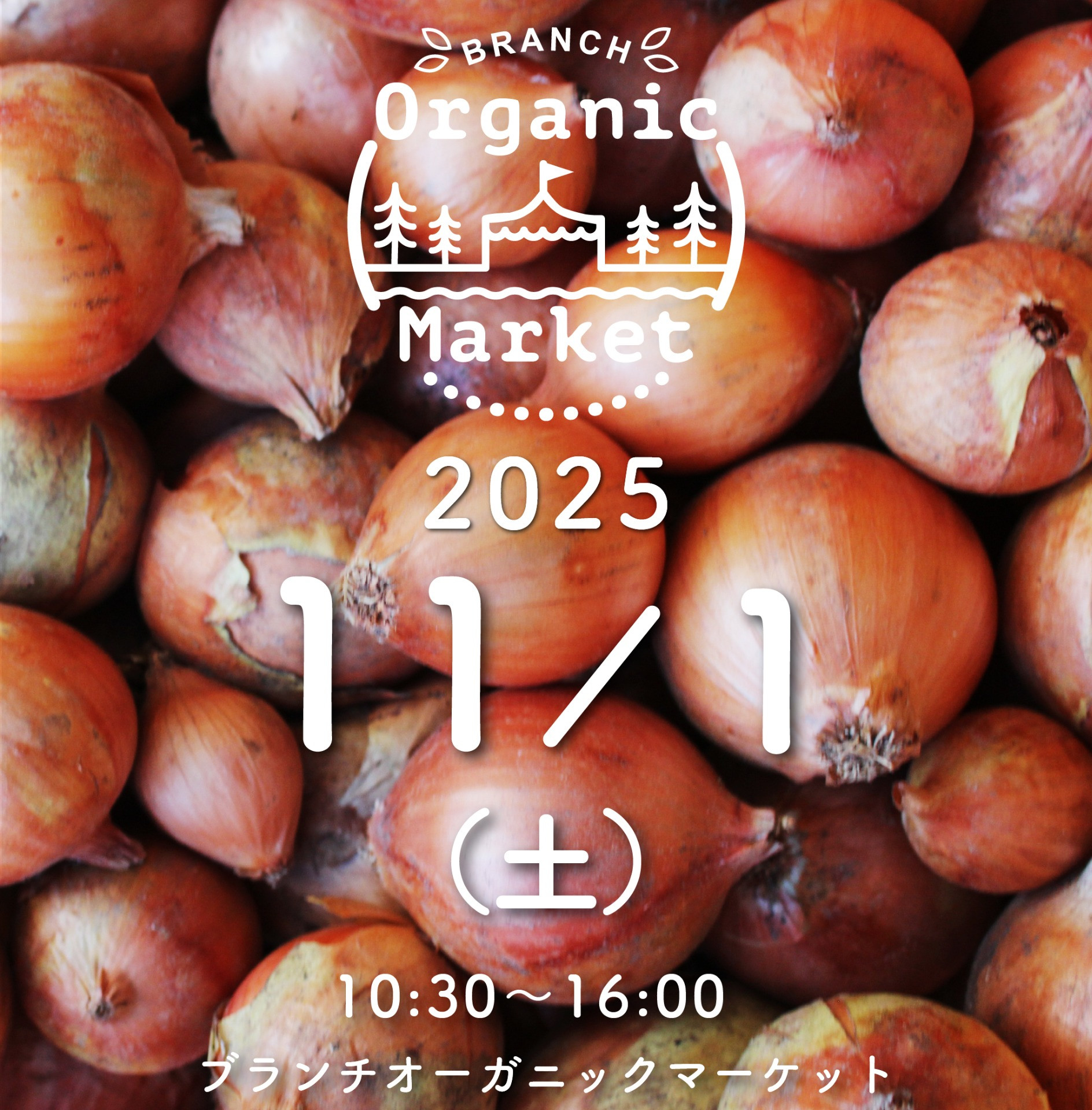ブランチオーガニックマーケット11月