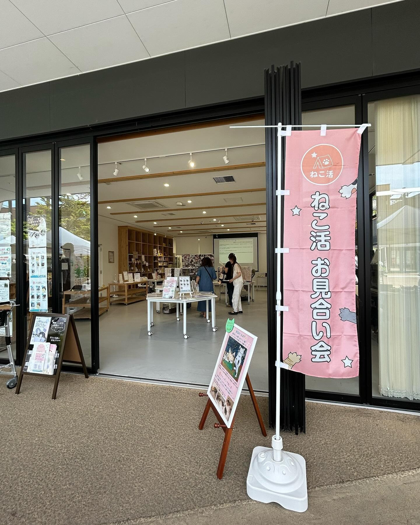 星空ねこお見合い会12月