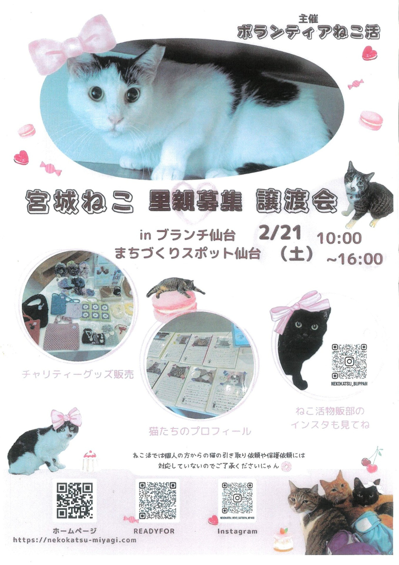 ボランティアねこ活　宮城ねこ里親募集譲渡会