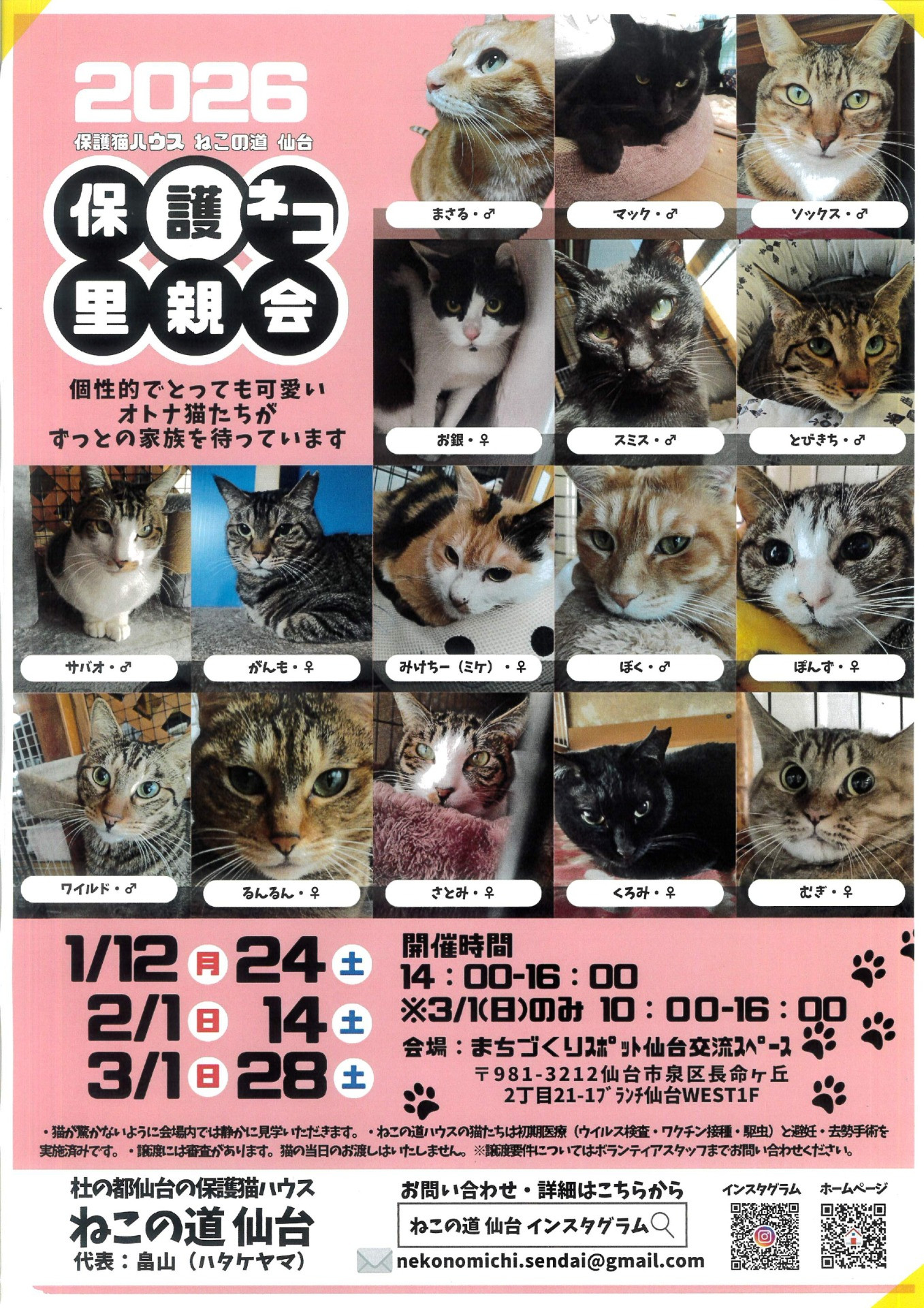 ねこの道仙台　保護ネコ里親会