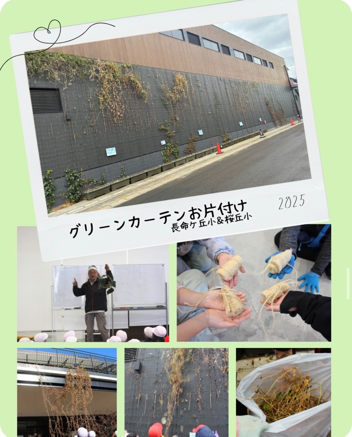 グリーンカーテンの片付けが終了しました！