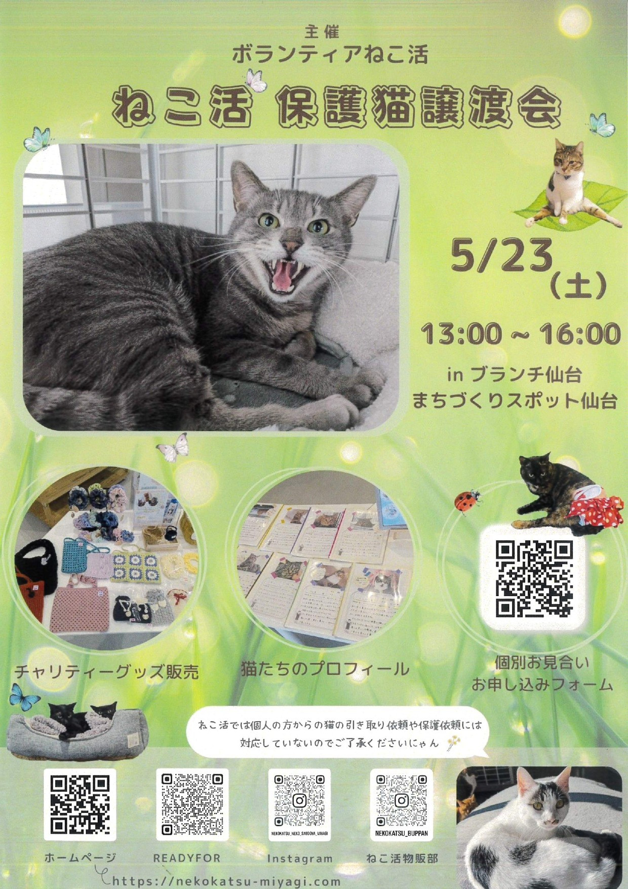 ボランティアねこ活　保護猫譲渡会