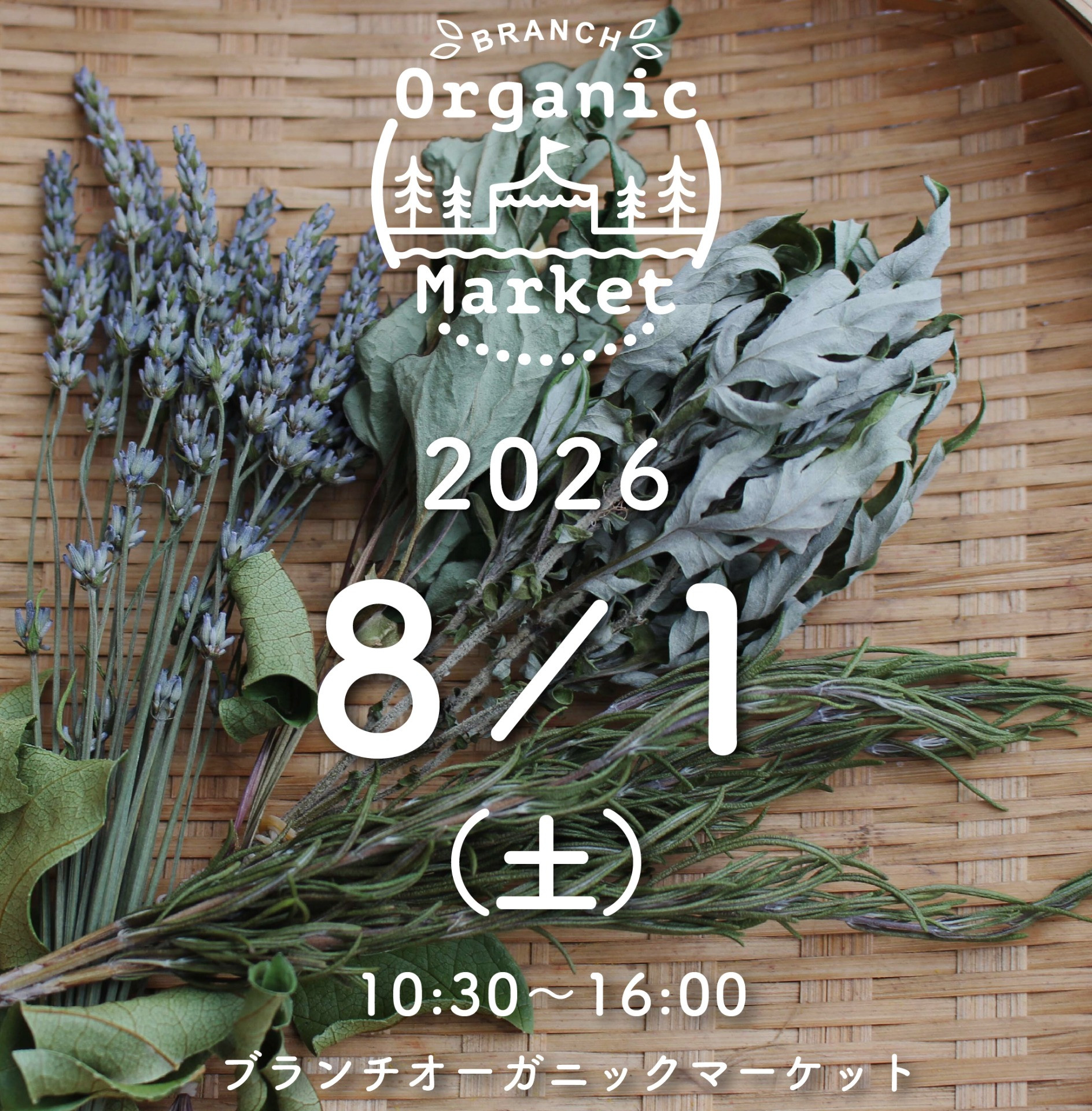 ブランチオーガニックマーケット　8月