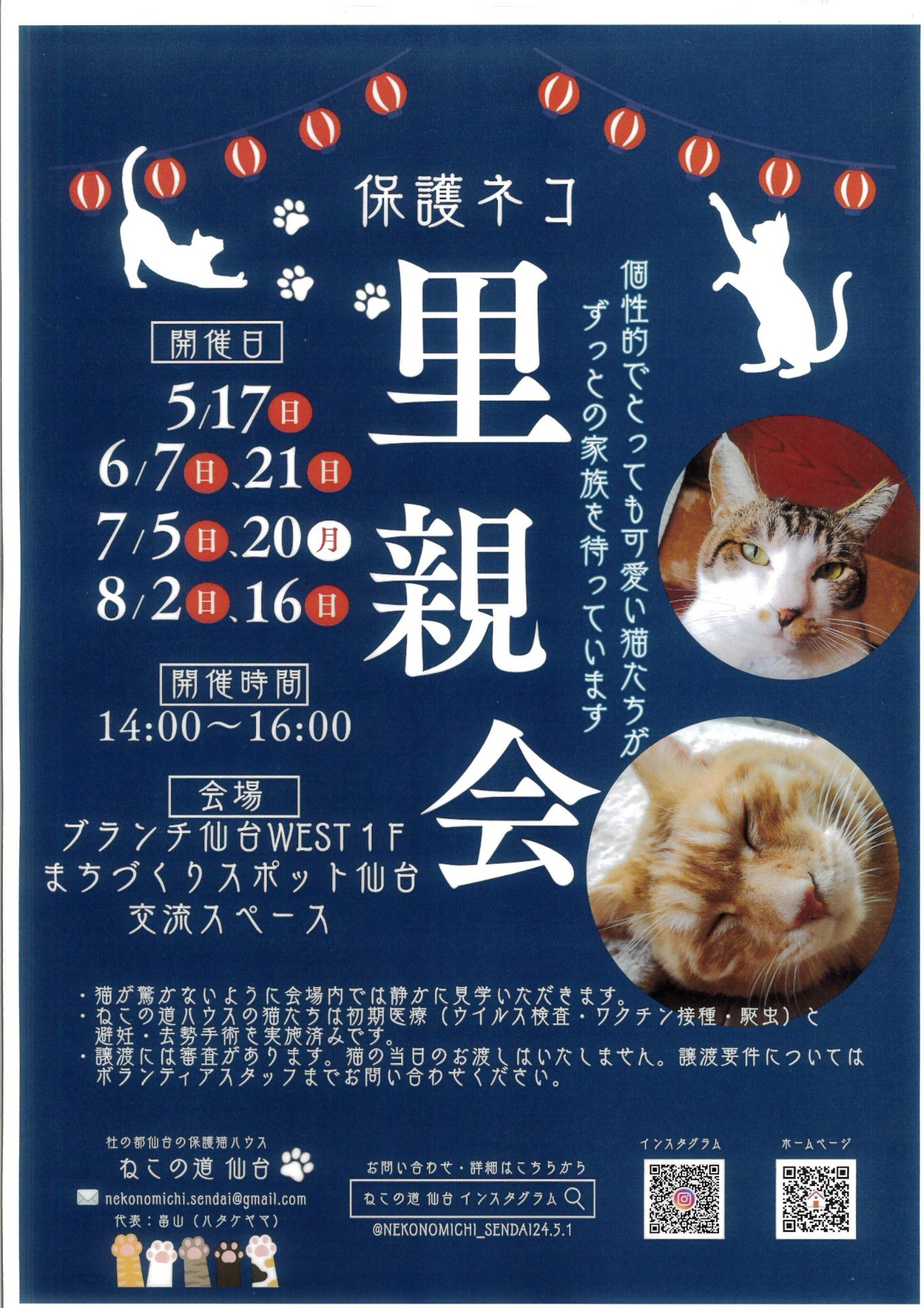 ねこの道仙台　保護ネコ里親会