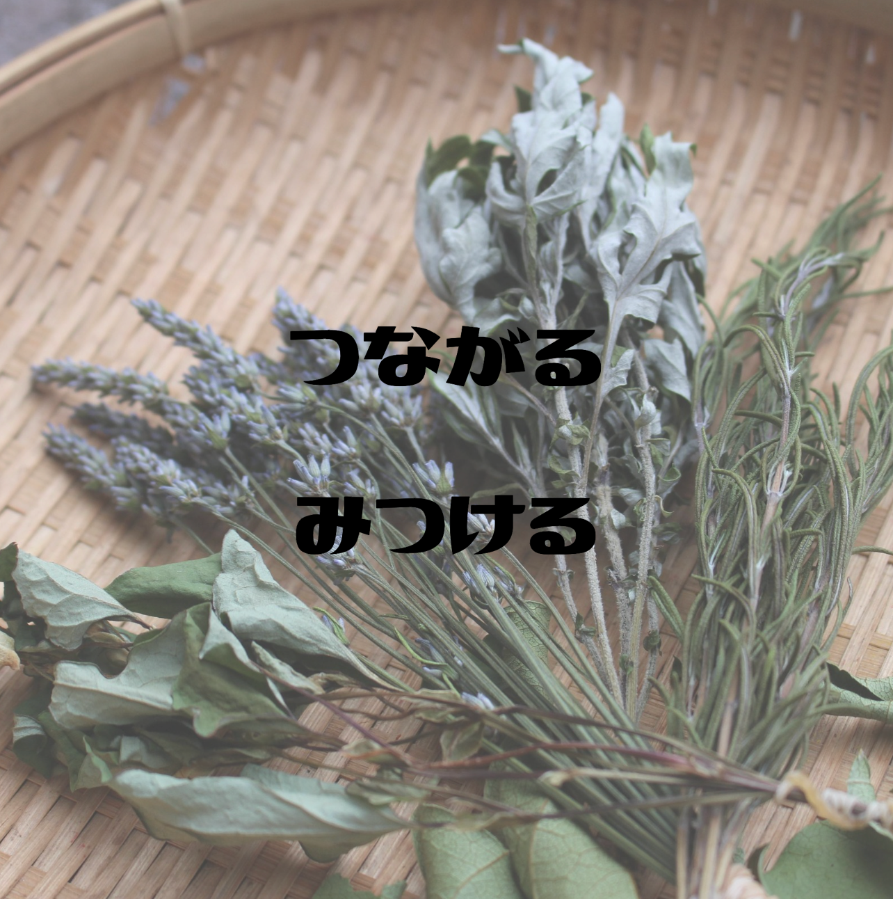 つながるみつける日記　・episode16・