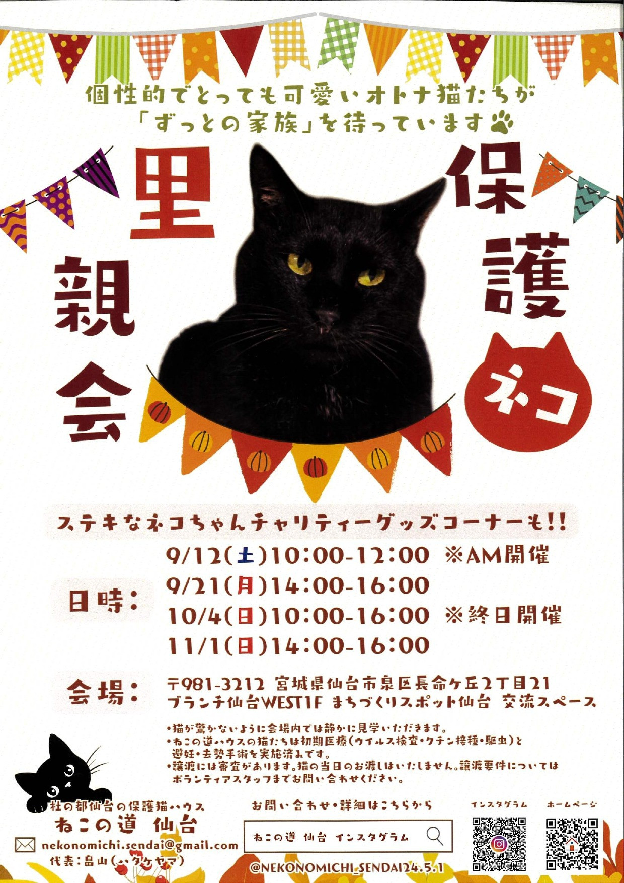 ねこの道仙台　保護ネコ里親会