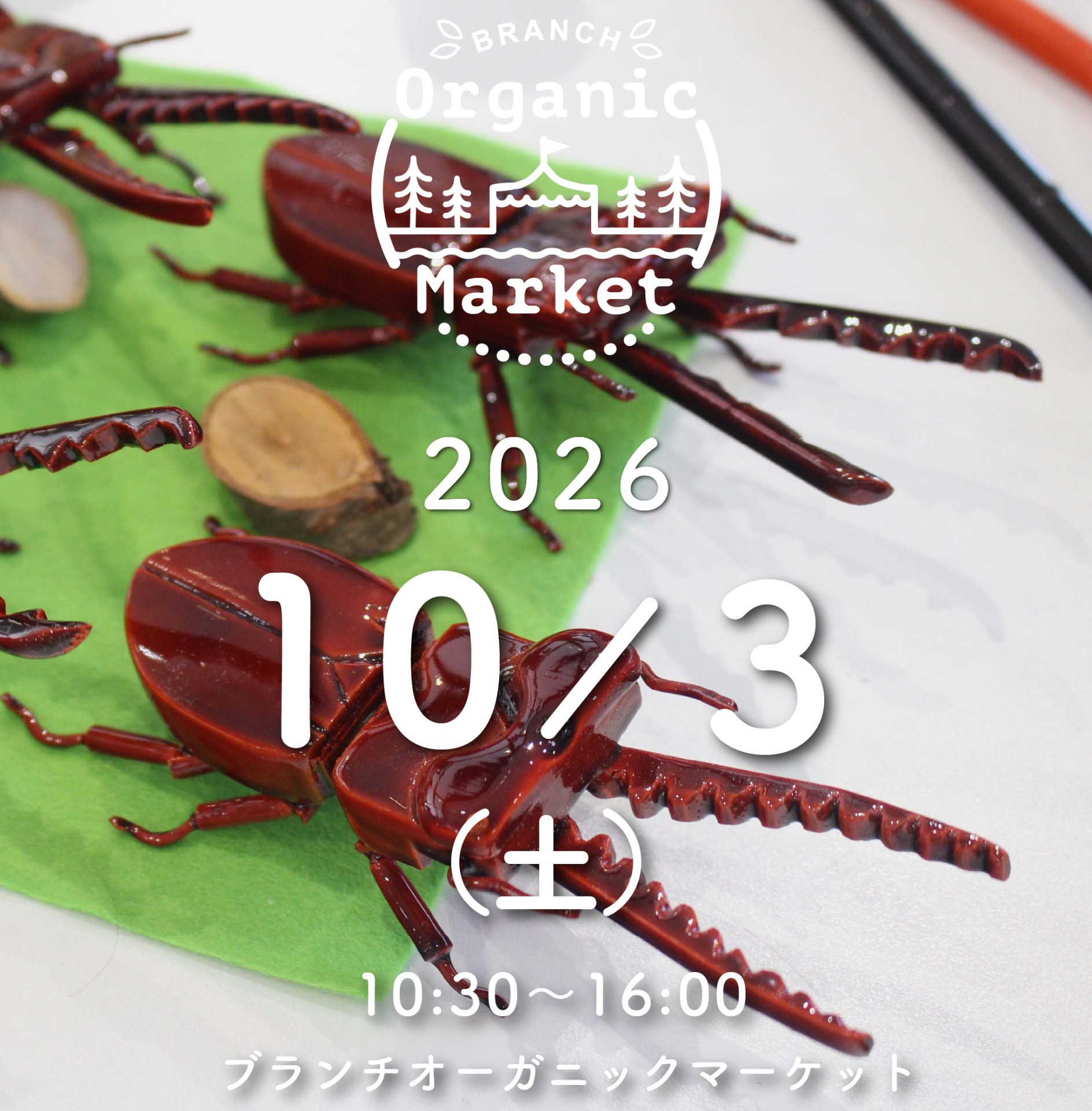 ブランチオーガニックマーケット　10月