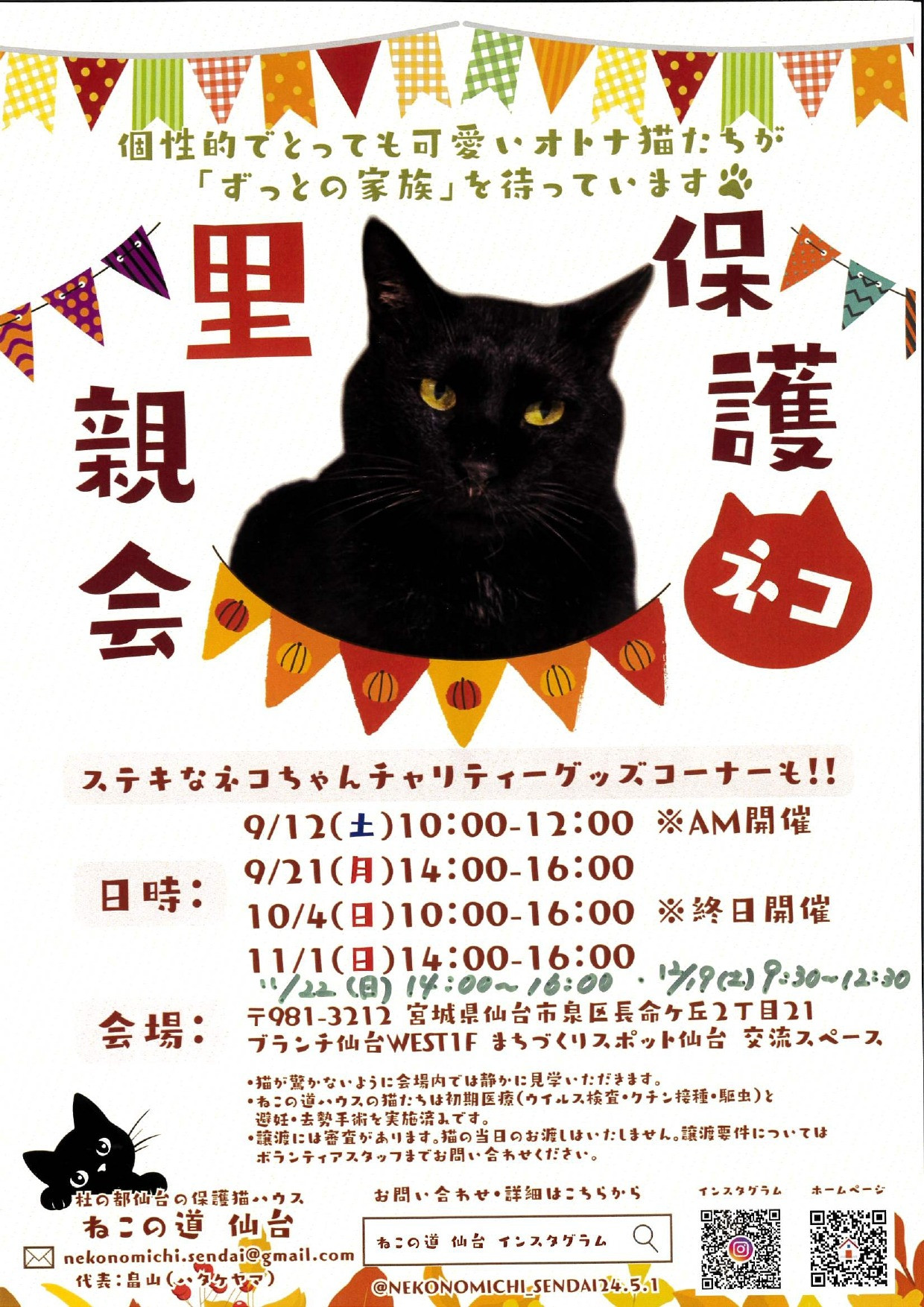 ねこの道仙台　保護ネコ里親会